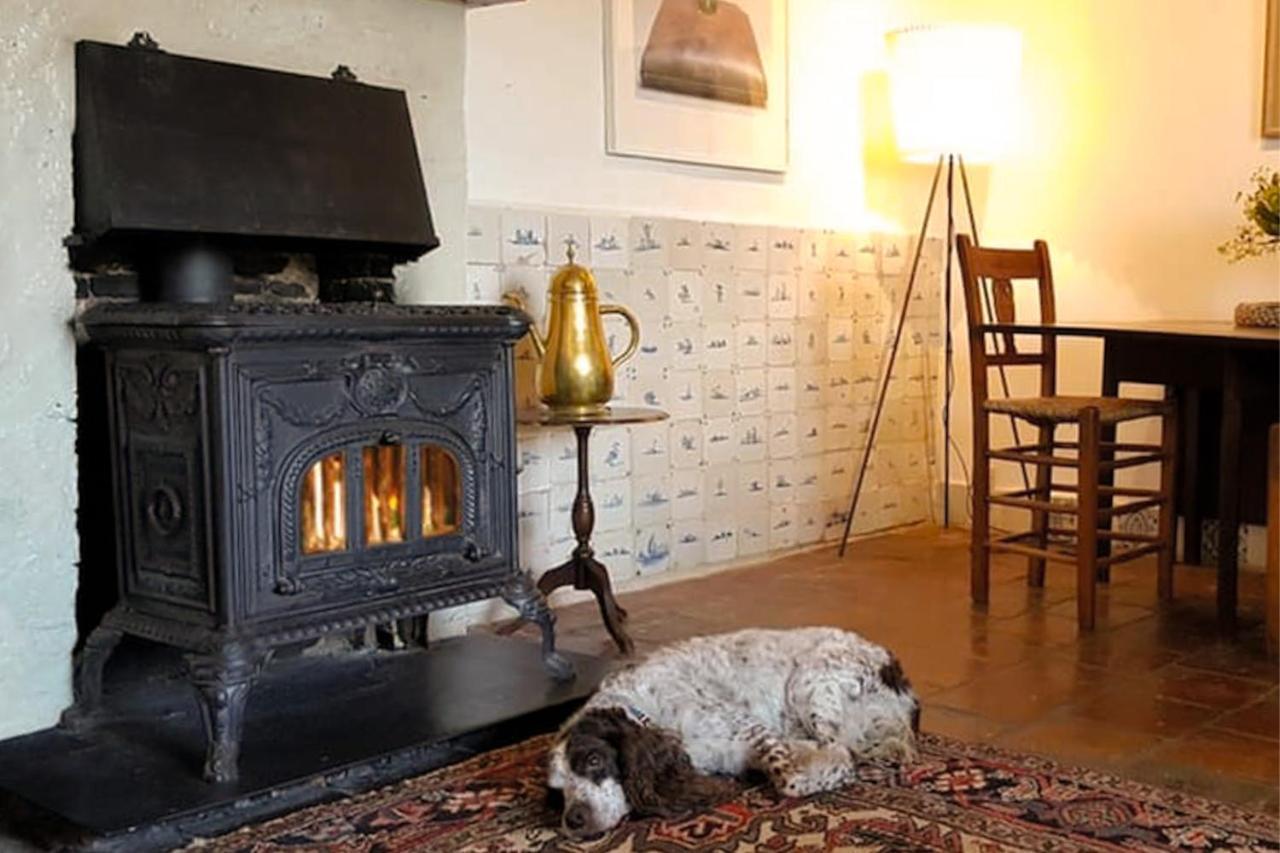 Countryside Bliss: Historic Cottage By The Sea Burgh-Haamstede Dış mekan fotoğraf